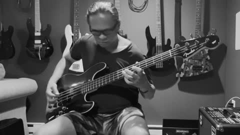 Metallica: "Seek n Destroy" (Bass Cover)