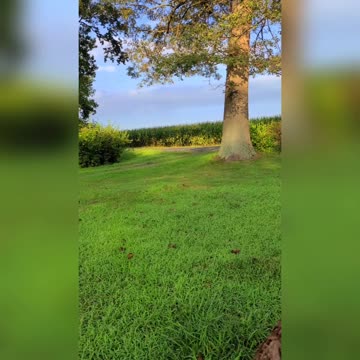 Monday Morning Traffic Report