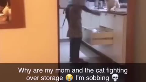 Mom and the cat fighting over the storage