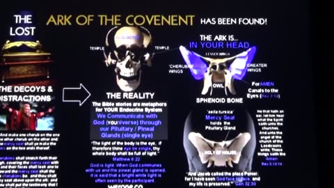 International Crime$