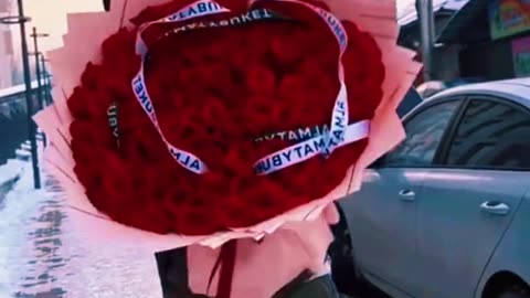 Funny vidéo
