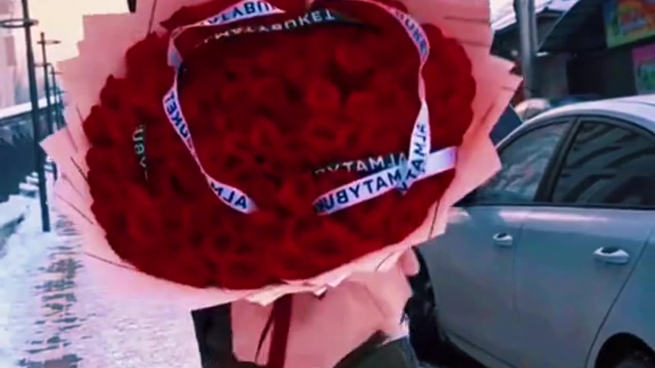 Funny vidéo