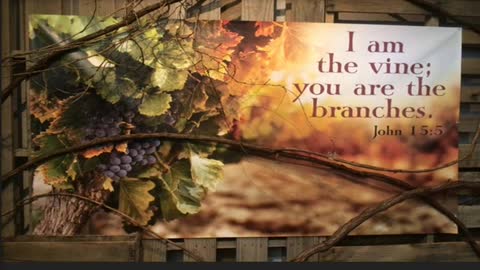 The Lion's Table - Speaking God's Word: I Am the Vine and You Are the Branches