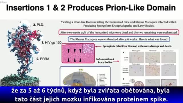 CONFIRMED: "People who take Bioweapon Vaccines will get HIV AIDS" - Richard Fleming PHD, MD,