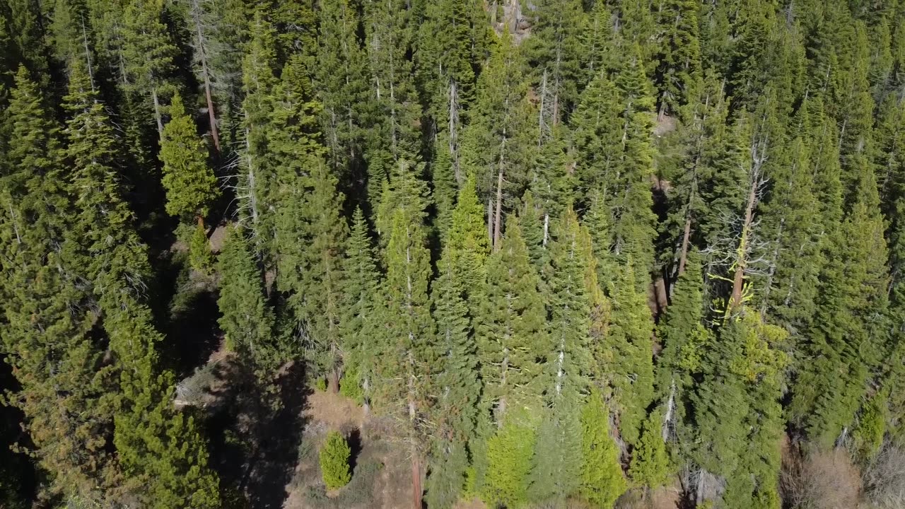 Drone part 2