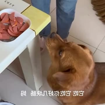 @infavoritewild Well, how can you trust a person after that?