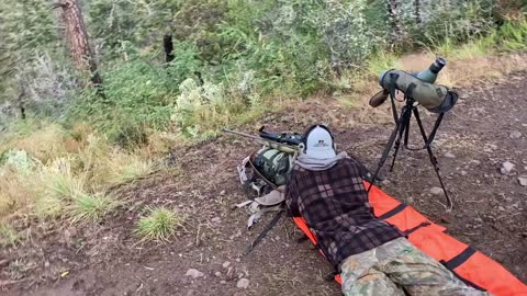 Arizona mule deer success for youth hunter with pack goats