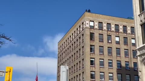 There are snipers on the roof of the Senate and one of the Rideau Centre buildings in Ottawa