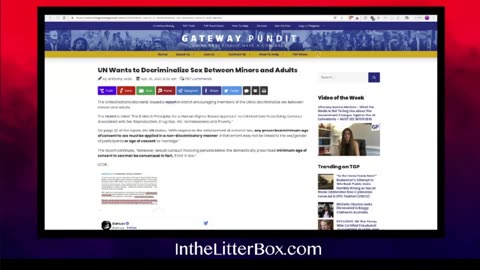 gender reaffirming care is the destruction of your health - Short excerpt from 'IntheLittlerBox'
