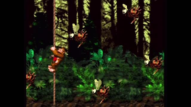 Donkey Kong Country Playthrough (Actual SNES Capture) - Vine Valley