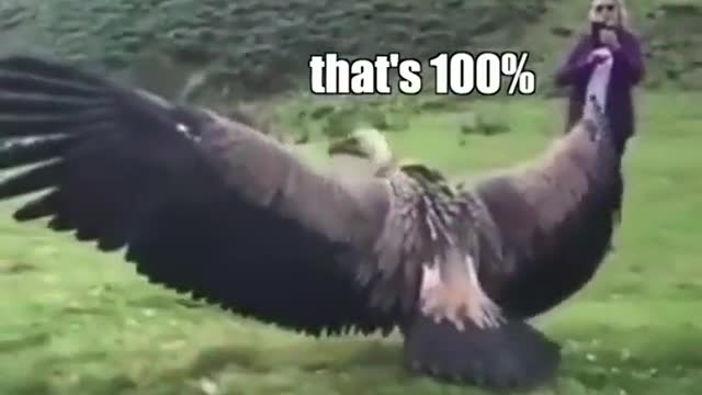 Would you just look at it_!