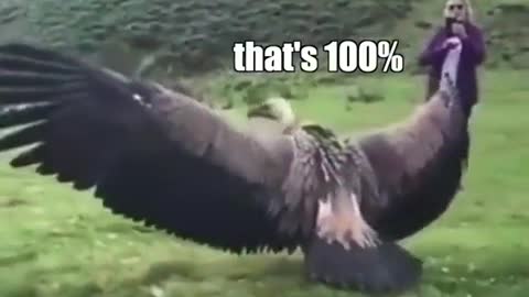 Would you just look at it_!