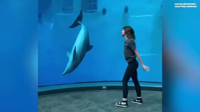 Dolphin Flips With Cartwheeling Woman At Indianapolis Zoo_Cut