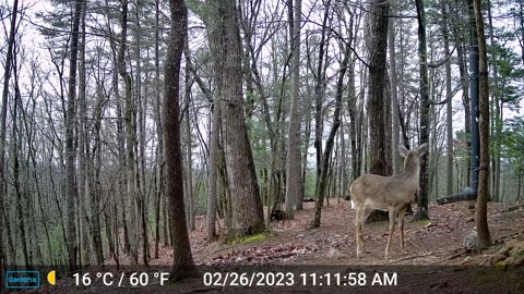 The Woods – 02/27/2023