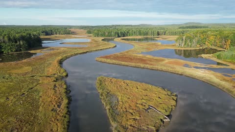 Beautiful Nature video