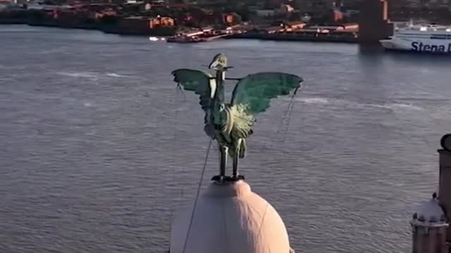 Liver Bird on the Roof of Liverpool, England