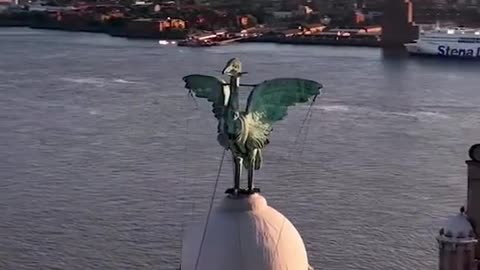 Liver Bird on the Roof of Liverpool, England