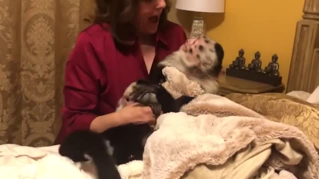 Reunion with Pets