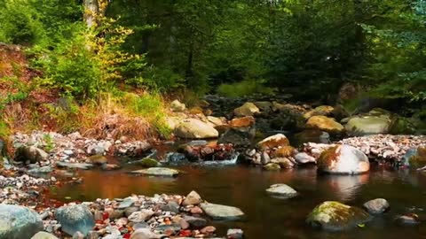 Relaxing Music | Sleeping, Meditation, Stress Relief | [6054] ⭐️