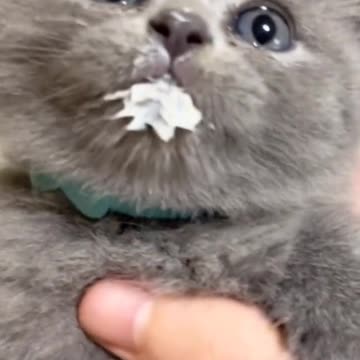 Super cute baby🥰🥰