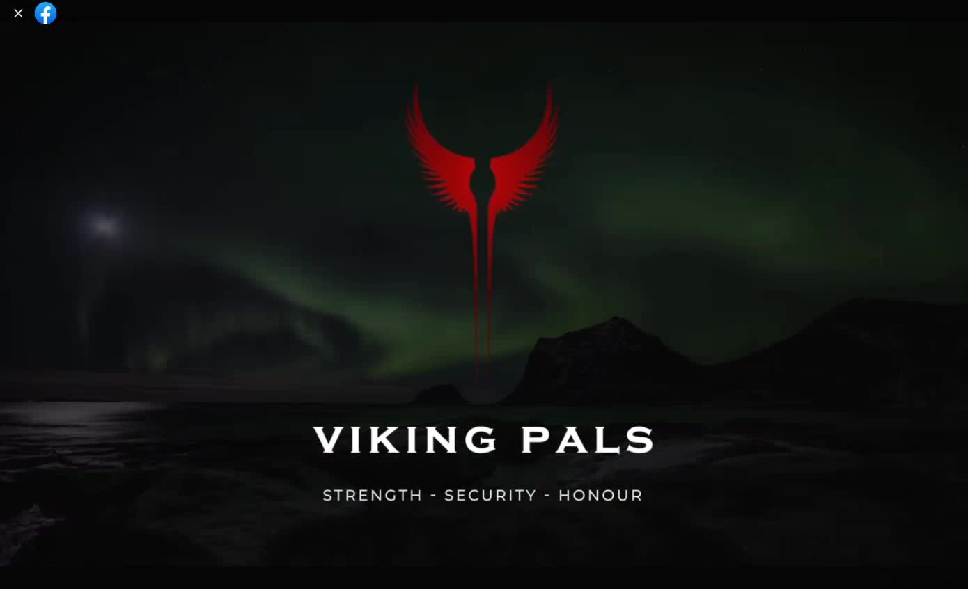 INTRO - VIKING PALS -English