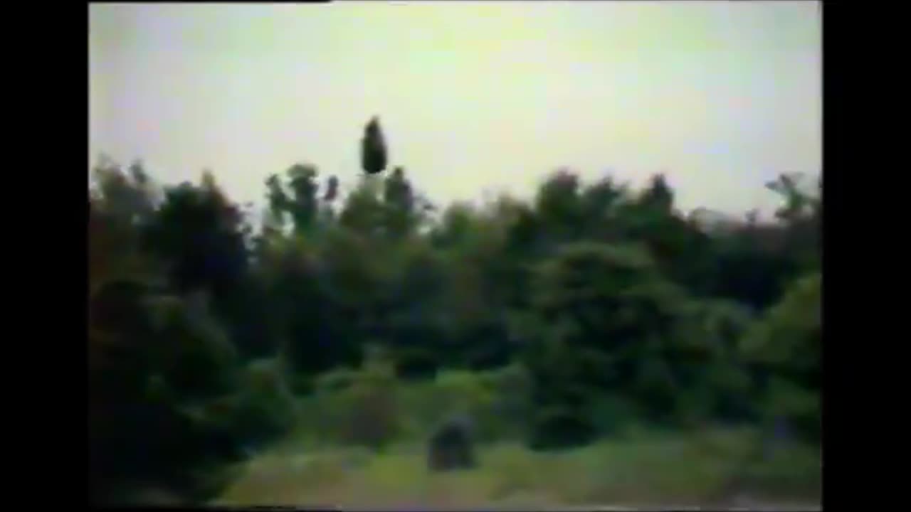 The WASP project - Free Energy Flying Device - No Motor though they lie about it now