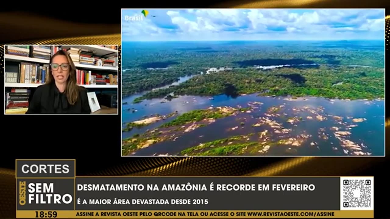 Sob Lula, desmatamento na Amazônia é recorde no mês de fevereiro |