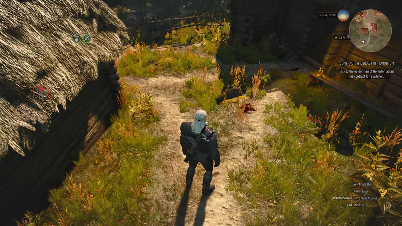 The Witcher 3 where cat and the wolf play part 1