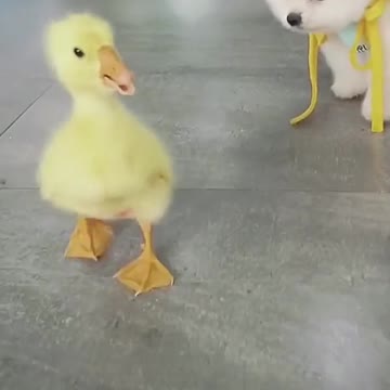 Hello 👋 we are friends💋