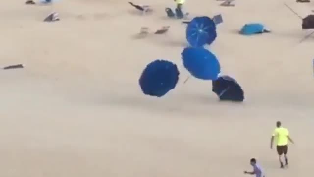 Umbrellas running along the beach