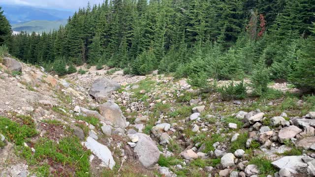 Oregon – Mount Hood – Timberline Loop – Seasonal Creek Crossing Avalanche Chute