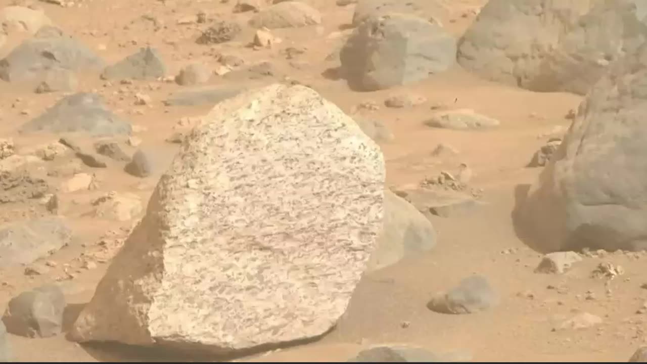 Perservence rover finds unusual boulder, plants, fossils and artificial objects