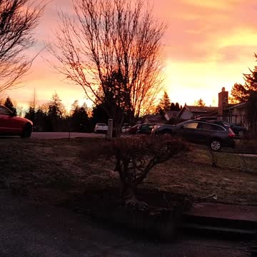 Beautiful morning 🥰