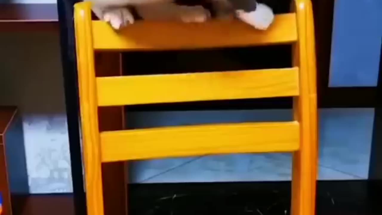 Try Not To Laugh