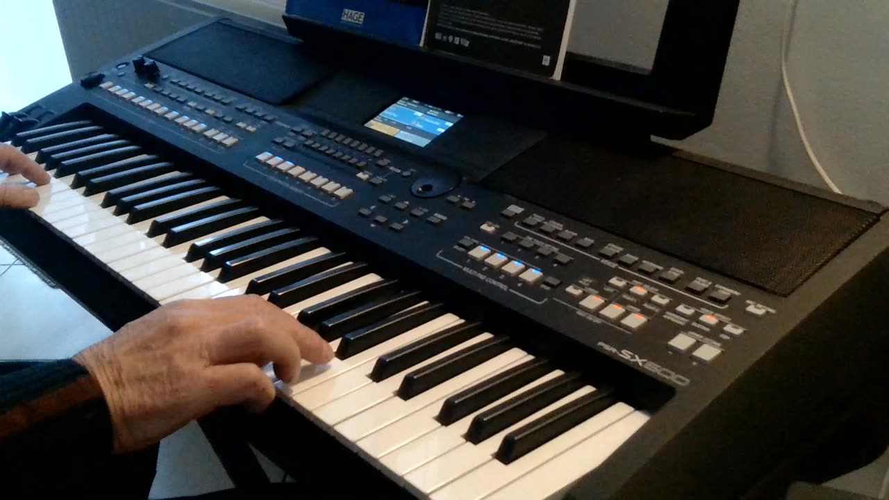 Midnight sax (Jesse Molloy) cover by Henry, Yamaha PSR-SX600