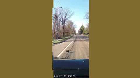 Disturbing THINGS got on DASHCAM