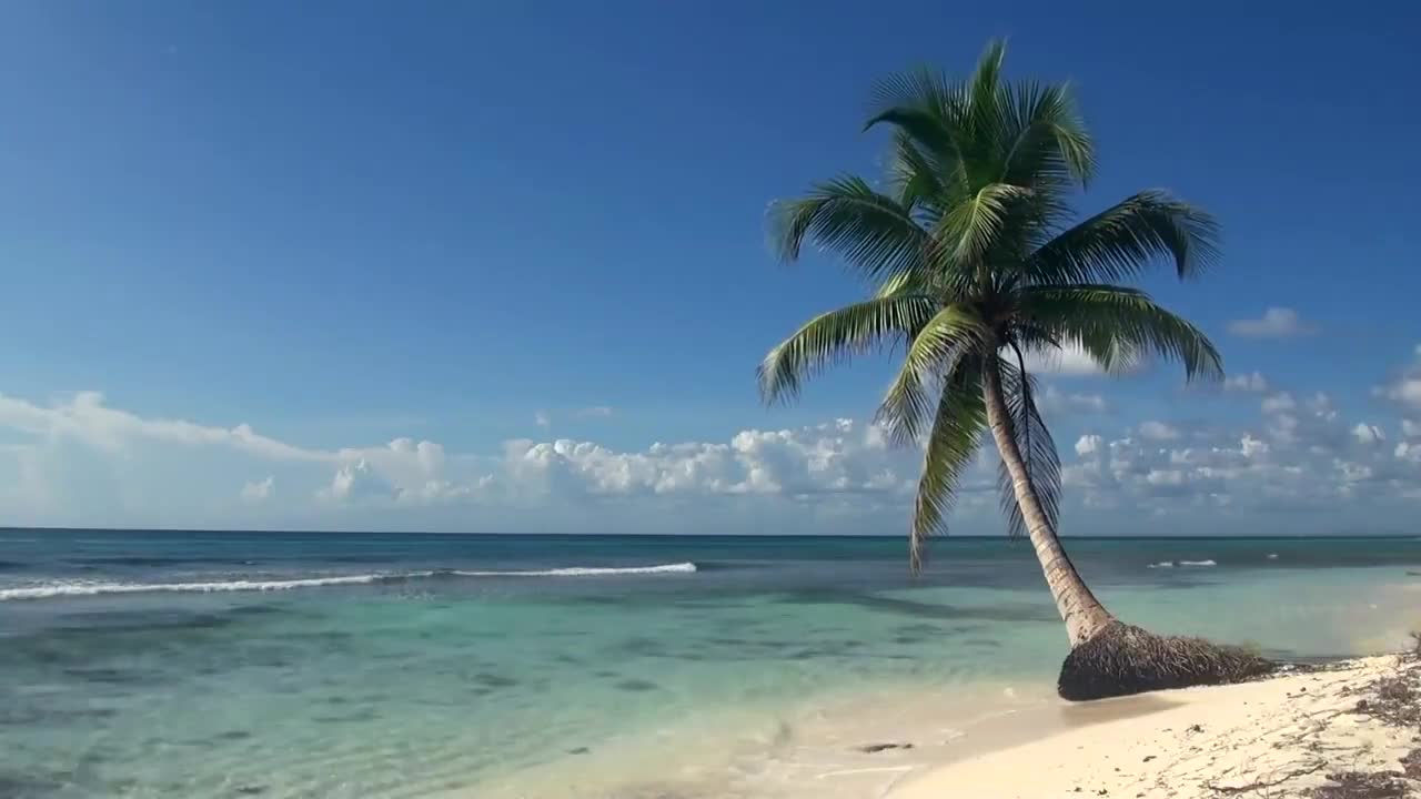 Alan Watts Why Youre Unhappy (lofi hip hop mix) HD ocean screensaver