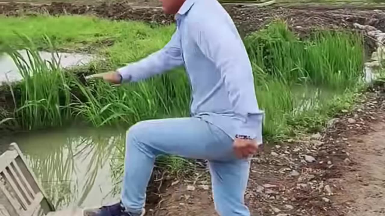 Comedy phadke
