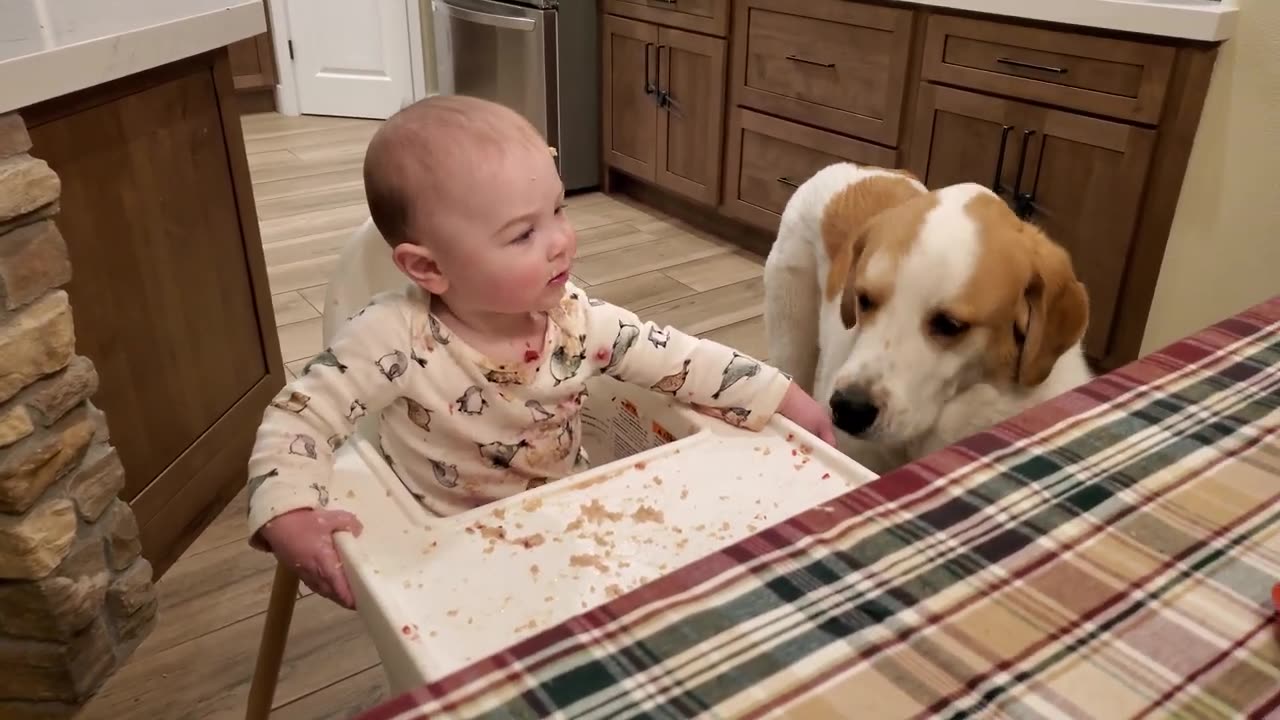 A small child is lovingly feeding his dog