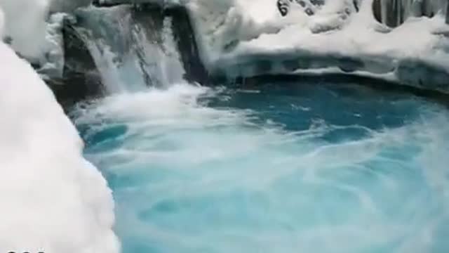 NATURE VIDEO WHATSAPP STATUS,2022