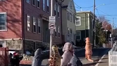 Animals walk the streets of the USA