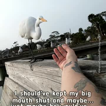 If only I hadn't opened my big mouth...