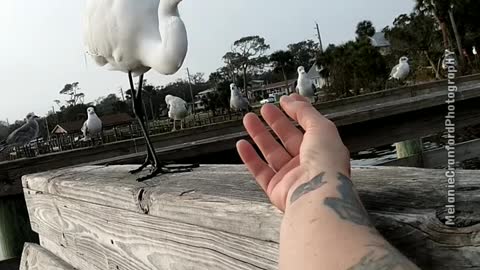 If only I hadn't opened my big mouth...