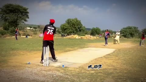 Cricket lover