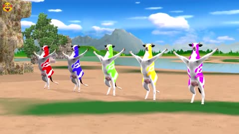 Funny Cow Dance Cow Song Cartoon Cow Videos