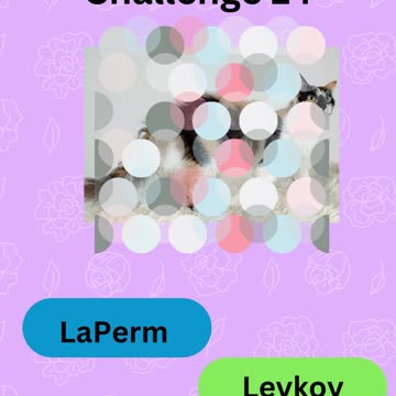 Purrfect Pets Quiz My Furry Friends Challenge 14