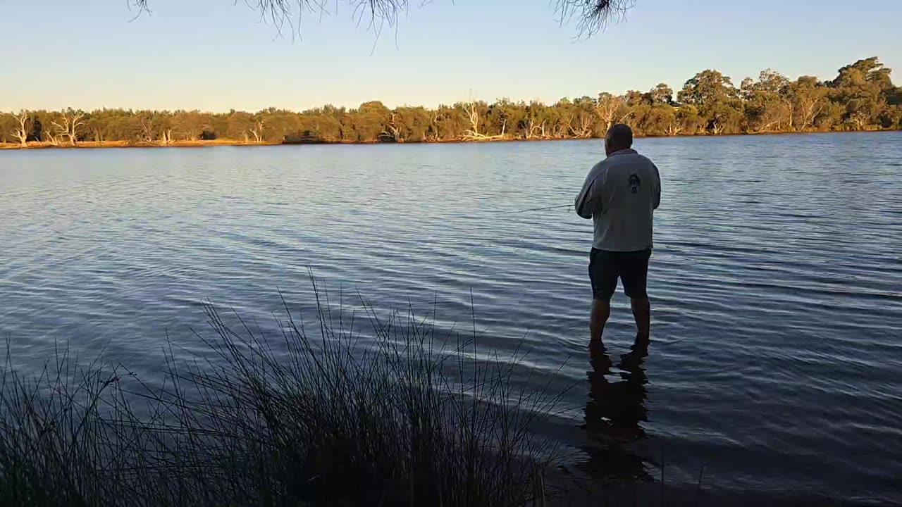 Australia #fishing #livestream a #river somewhere in great Aussie outdoors.