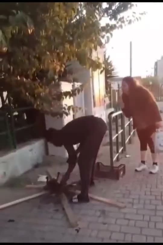 An Illegal Migrant Cooks A European Lady's Cat To Eat