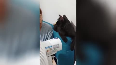 funny videos