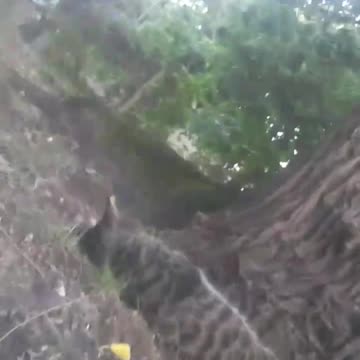 Part 2. I actually got me and Scarlett, my feral cat, on camera this time.